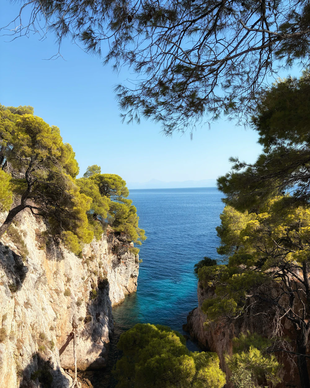 Cala rocosa de agua turquesa enmarcada por pinos