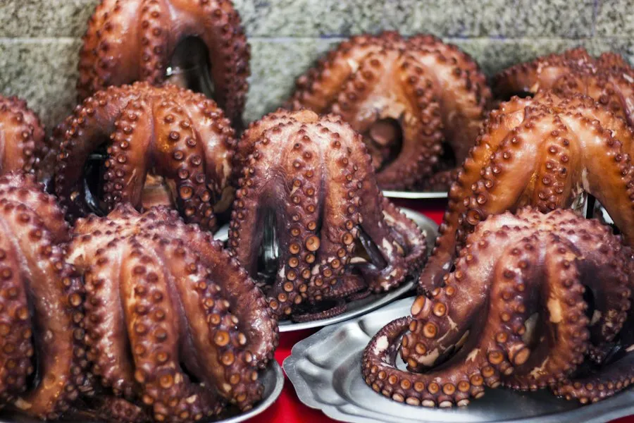 Pulpo a la brasa servido en el plato